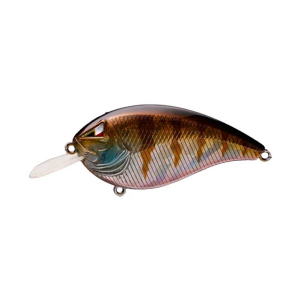 Ark Fishing Elite Z-Series Flatside Crankbait