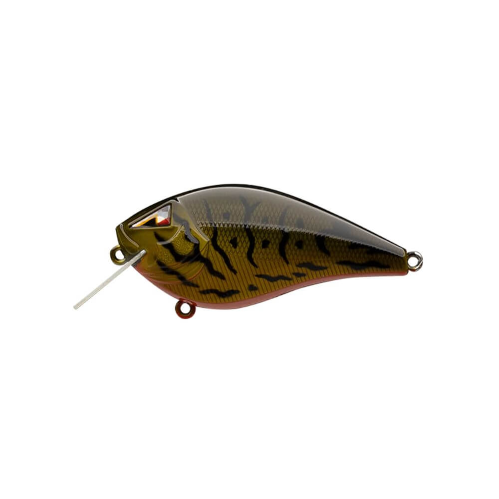Ark Fishing Elite Z-alpha S-2.5 Silent Squarebill Crankbait