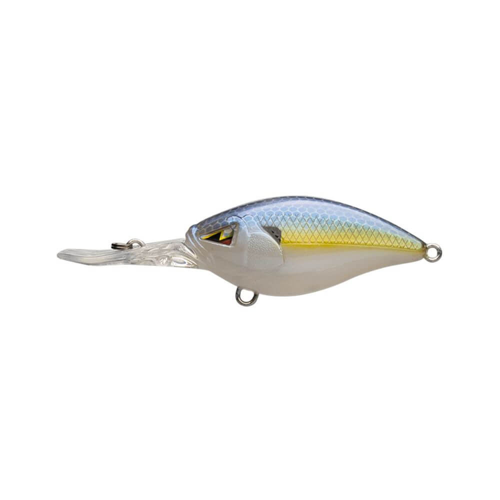 Ark Fishing CMT-10 Mini Crankbait