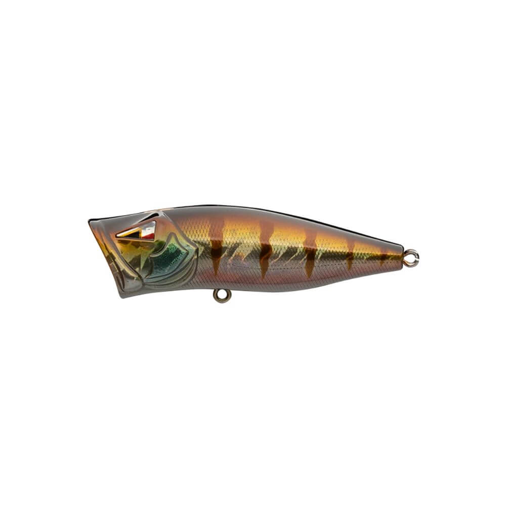 Ark Fishing Elite Z-Pop Topwater Popper