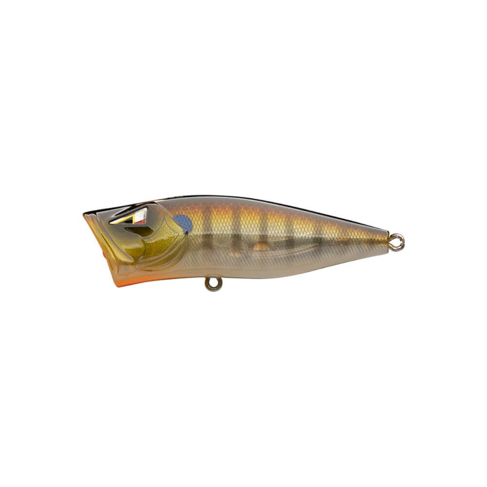 Ark Fishing Elite Z-Pop Topwater Popper