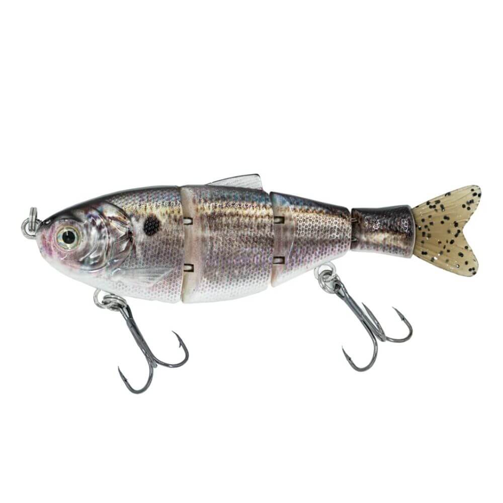 BassMooch Donkey Bite 5.5 American Shad - Bait Connection
