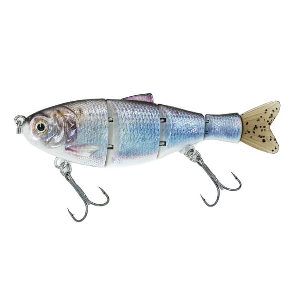 BassMooch Donkey Bite 5.5 Blueback Herring - Bait Connection