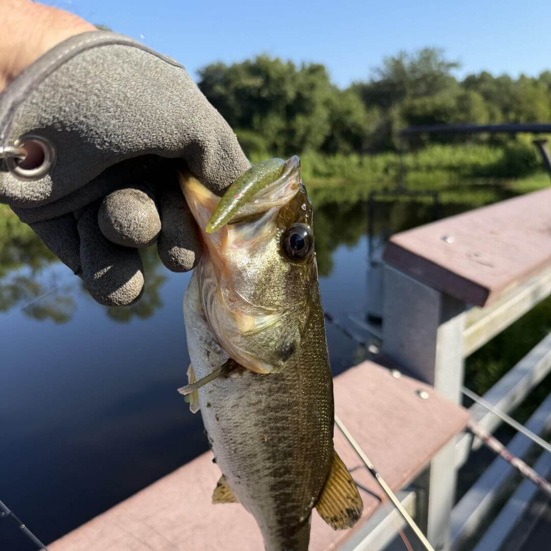 Pro Pack Stickbaits - Watermelon Red Fish