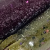 Green Pumpkin Purple Illusion