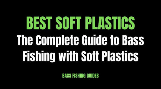 Best Soft Plastics for Bass: The Complete Guide