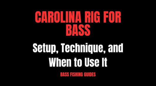 Carolina Rig for Bass: Setup, Technique, and When to Use It