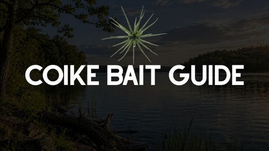 Coike Bait Guide: How to Rig and Fish the Urchin Lure for Bass