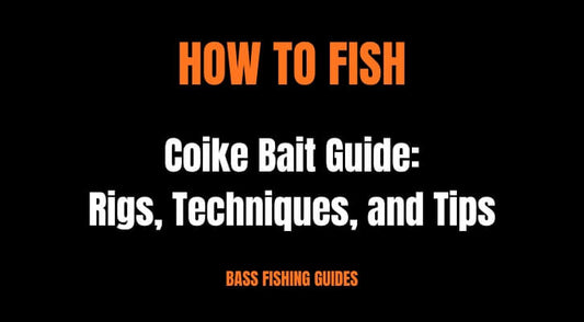 Coike Bait Guide