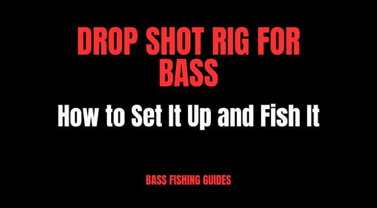 Drop Shot Rig for Bass: How to Set It Up and Fish It