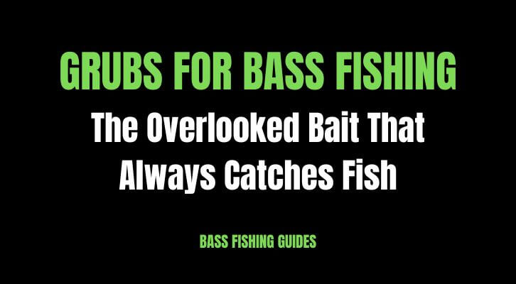Grubs for Bass Fishing: The Overlooked Bait That Works – Bait Connection