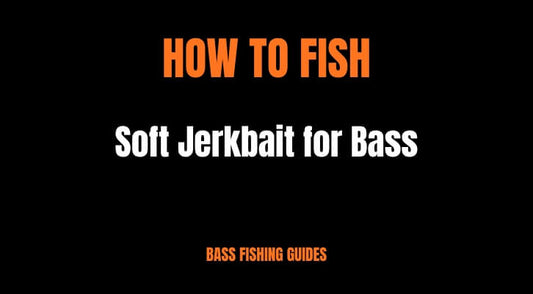How to Fish a Soft Jerkbait for Bass