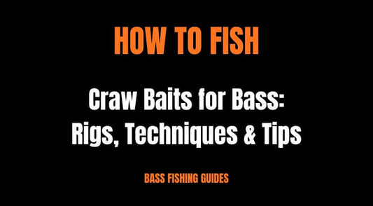 How to Fish Craw Baits for Bass: Rigs, Techniques, and Tips