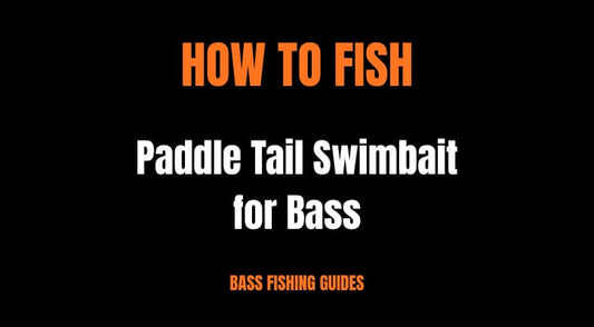 How to Fish a Paddle Tail Swimbait for Bass