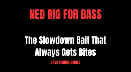 Ned Rig for Bass: The Slowdown Bait That Always Gets Bites