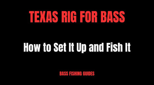 Texas Rig for Bass: How to Set It Up and Fish It