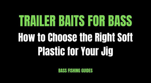 Trailer Baits for Bass: How to Choose the Right Soft Plastic for Your Jig