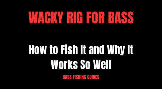 Wacky Rig for Bass: How to Fish It and Why It Works So Well
