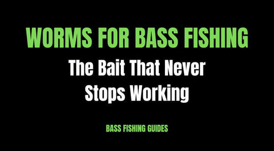 Worms for Bass Fishing: The Bait That Never Stops Working