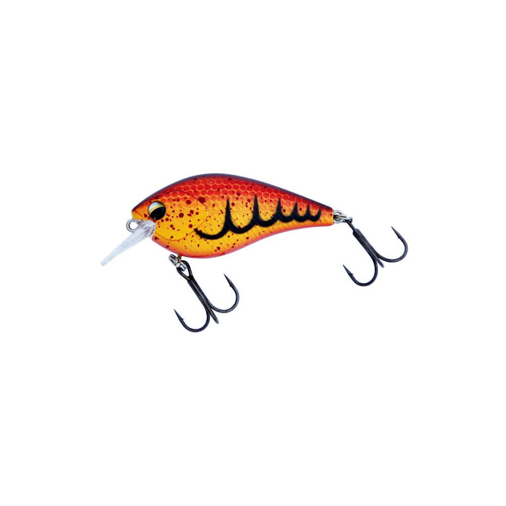 Hard Baits