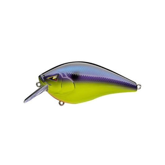 Ark Fishing CT-2.5 Squarebill Crankbait - Bait Connection