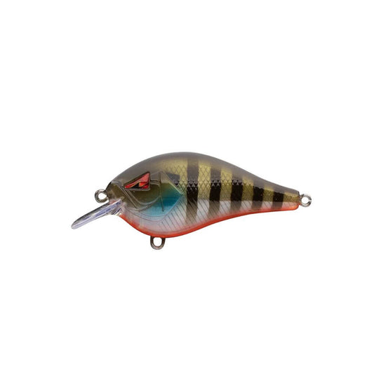 Ark Fishing CT3-5 Squarebill Crankbait - Bait Connection
