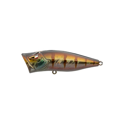 Ark Fishing Elite Z-Pop Topwater Popper