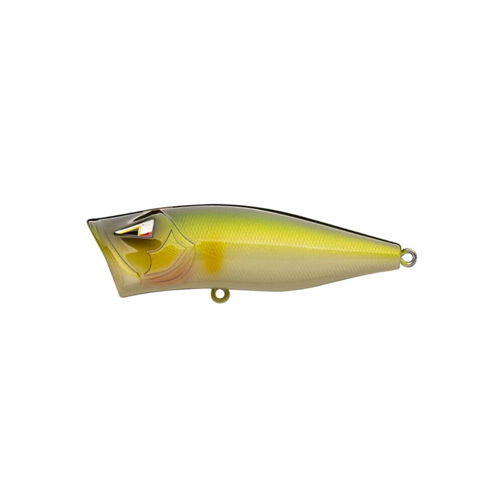 Ark Fishing Elite Z-Pop Topwater Popper