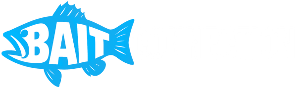 Bait Connection