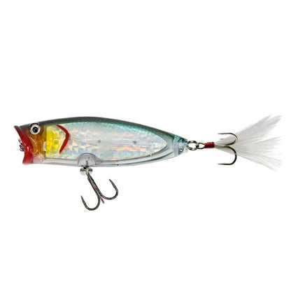 BassMooch Poppa Chewy Topwater Killa What's Poppin - Bait Connection