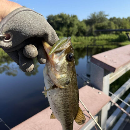 Pro Pack Stickbaits - Watermelon Red Fish