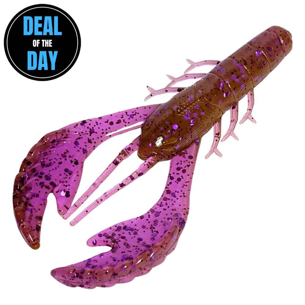 Deal of the Day