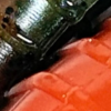 Orange Gill